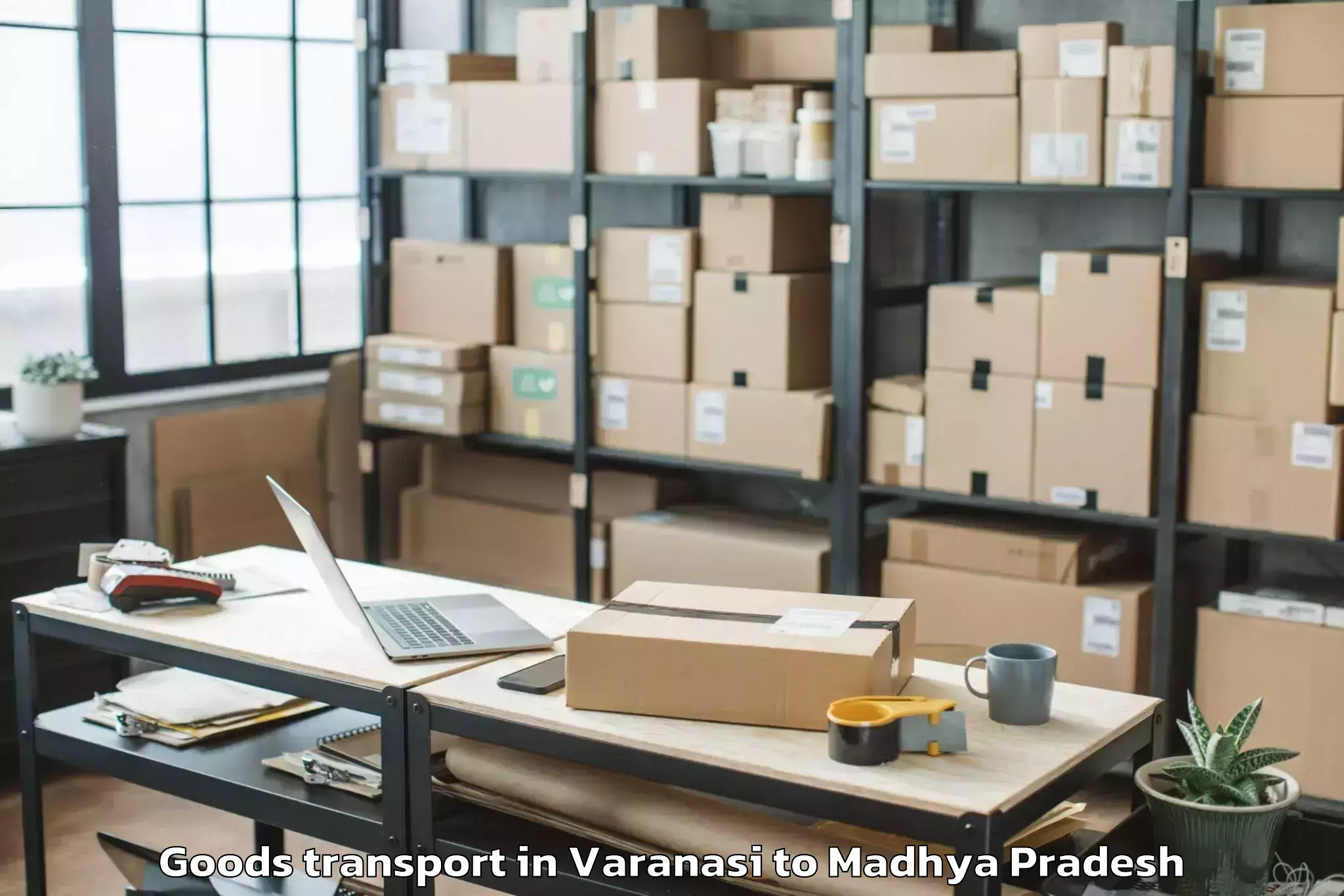 Professional Varanasi to Mhow Goods Transport